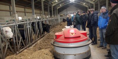 Jungbauern aus Schleswig-Holstein diskutieren die Haltung der Wagyu- Rinder